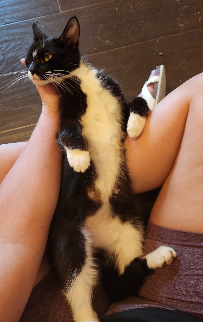 Clementine