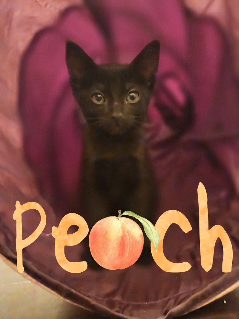 Peach