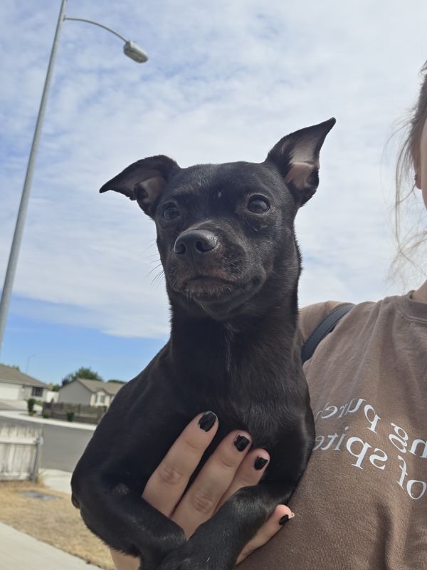 Maggie