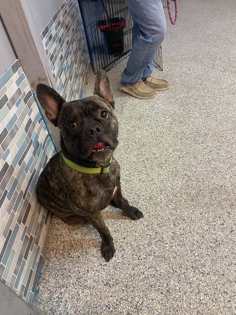 Max