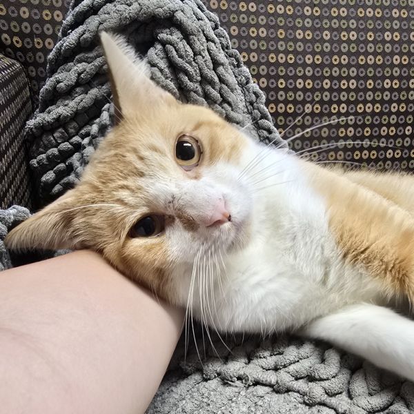 Winslow