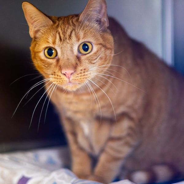 Frack (bonded With Declan)