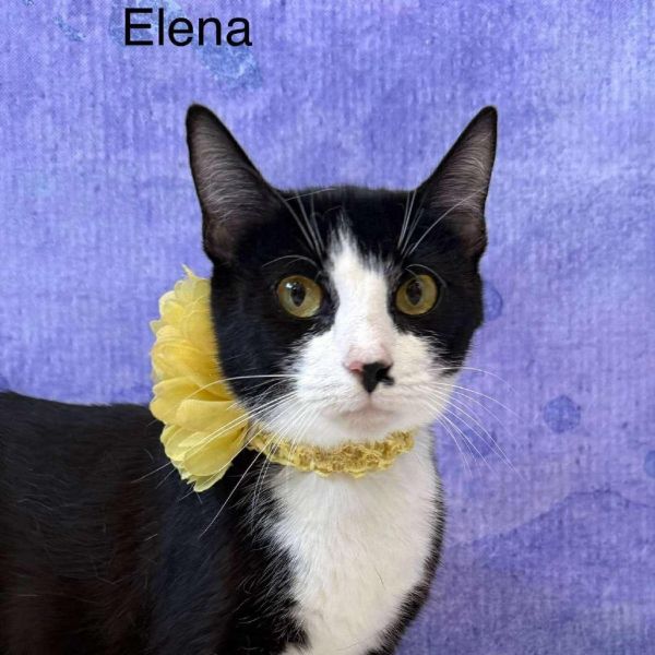 Elena