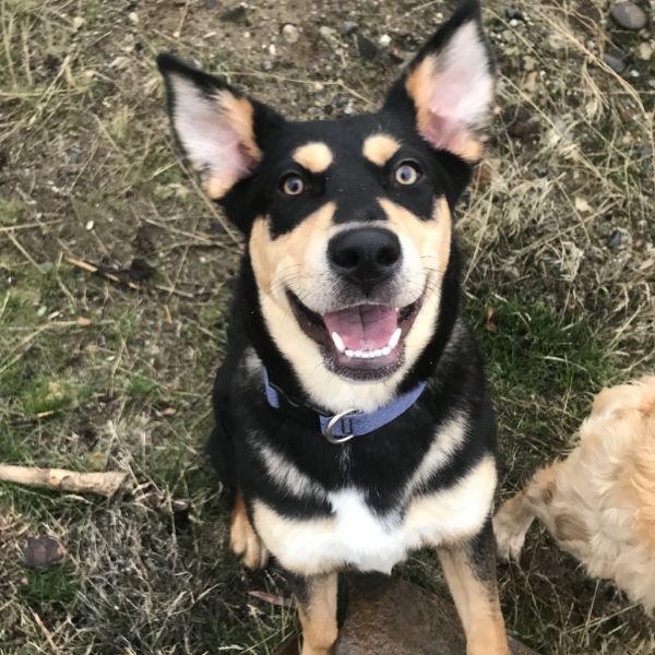 Kona