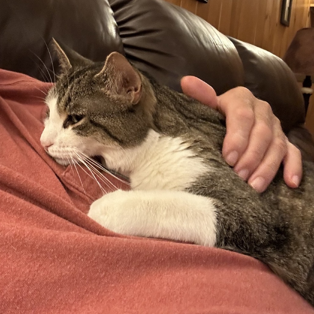 Gigi