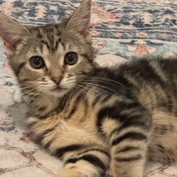 Tina