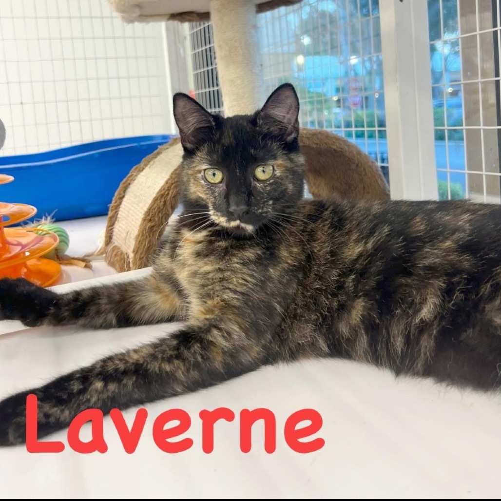 Laverne