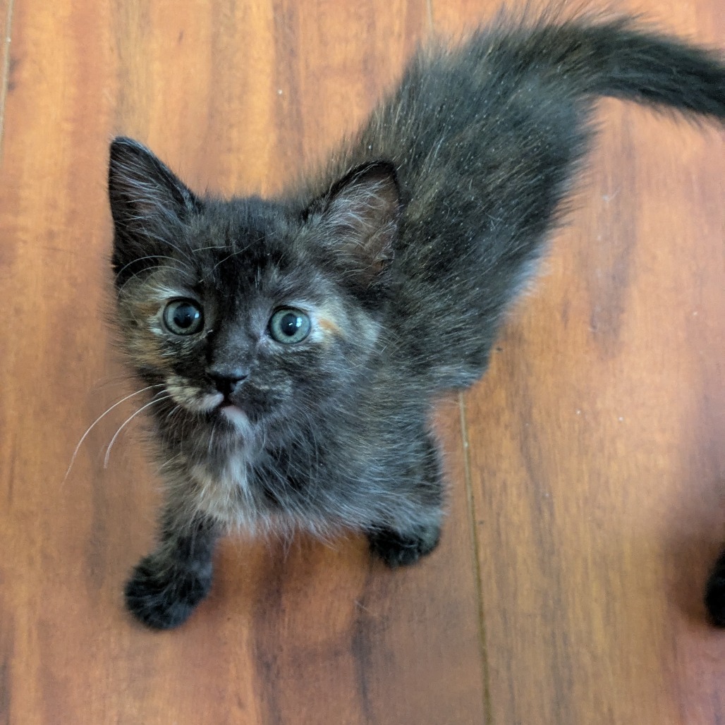 Laverne