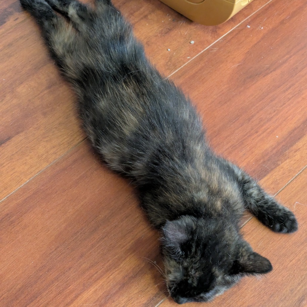 Laverne
