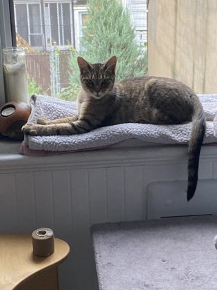 Anya