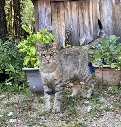 Anya
