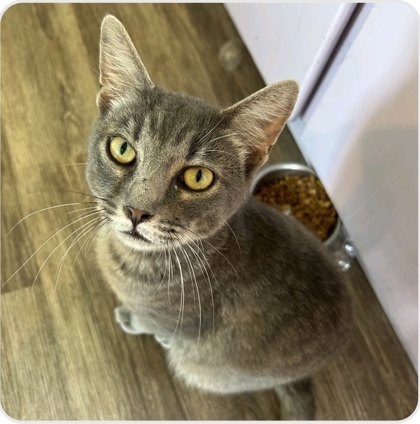Julio