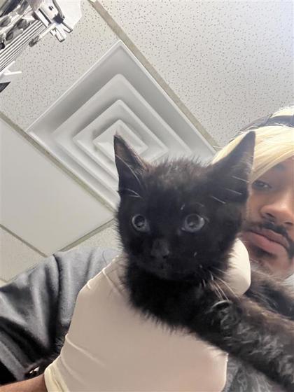 Sebastian