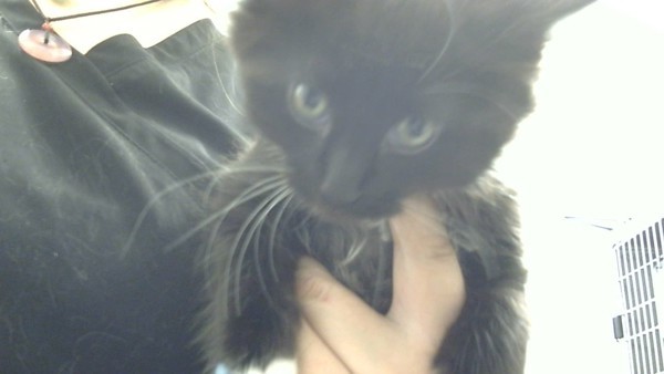 Charlie