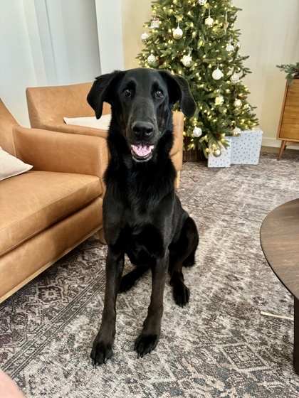 Oakley