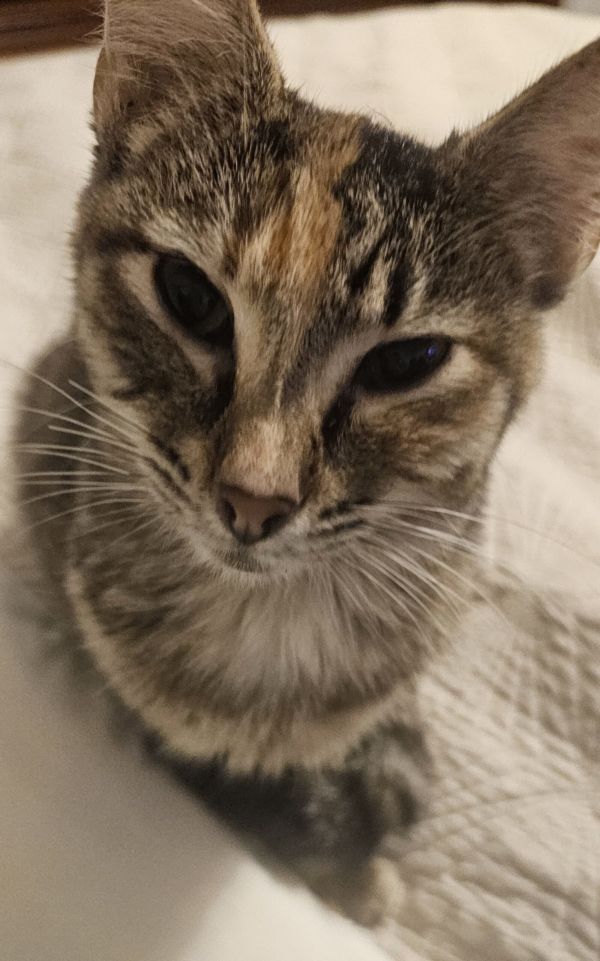 Laverne
