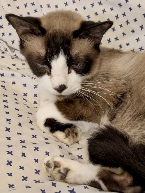 Pepper bonded pair with Sassy