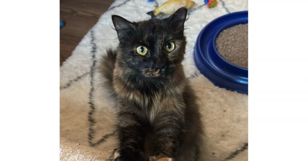 Clawdette