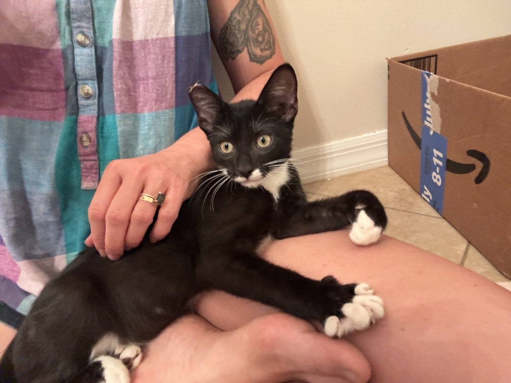 Remy