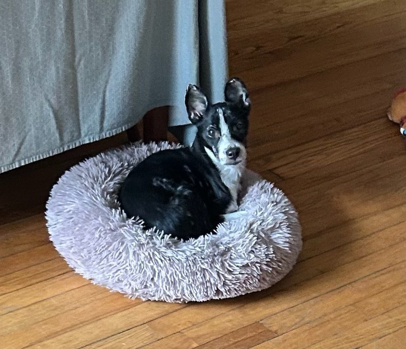 Marvelous Mia