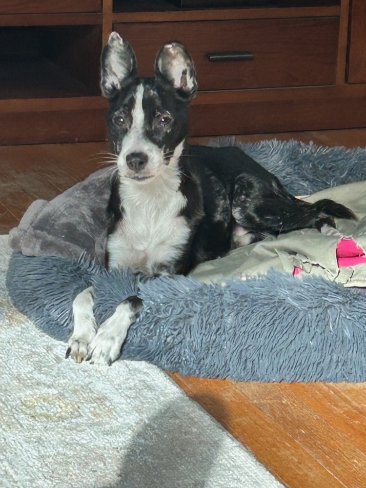 Marvelous Mia