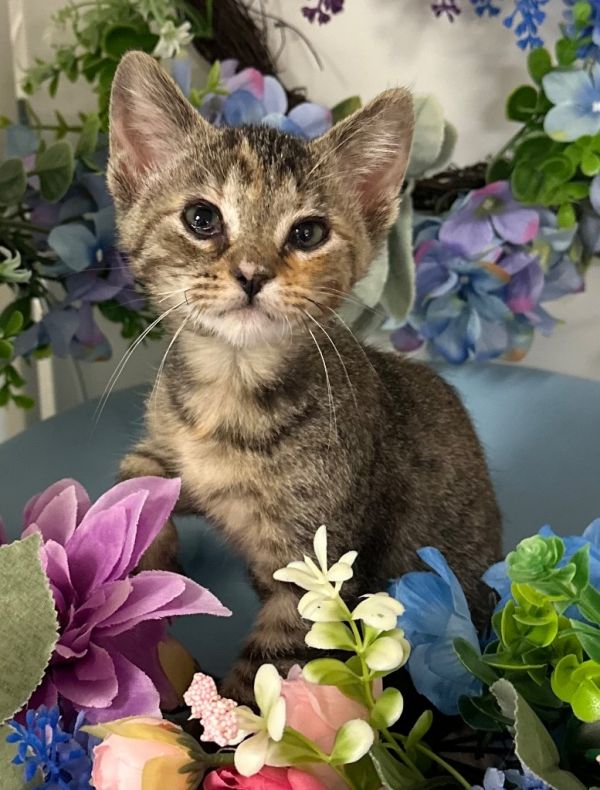 6/23/25 -Basil