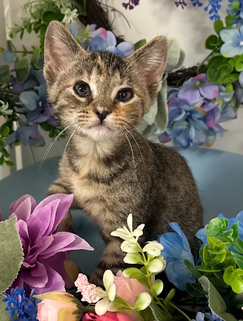6/23/25 -Basil