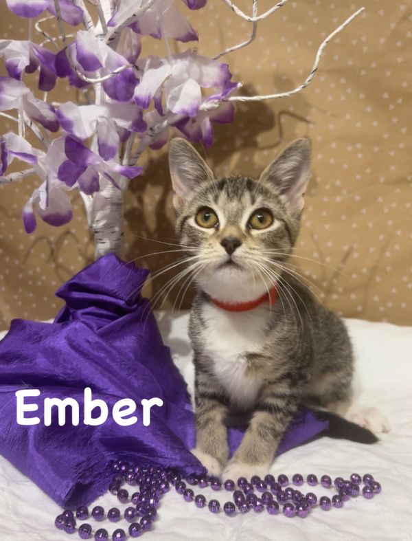 Ember