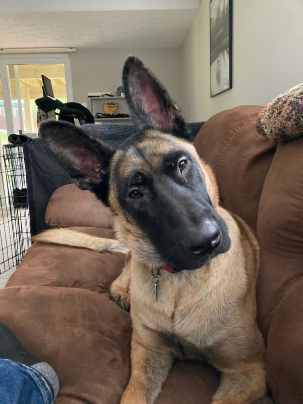 Ryker - Located In
