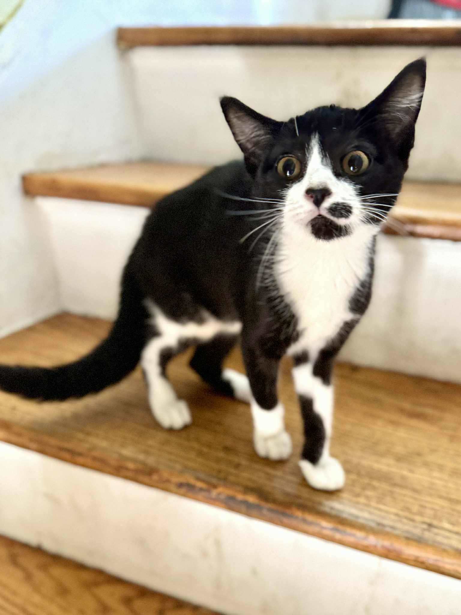 Delilah
