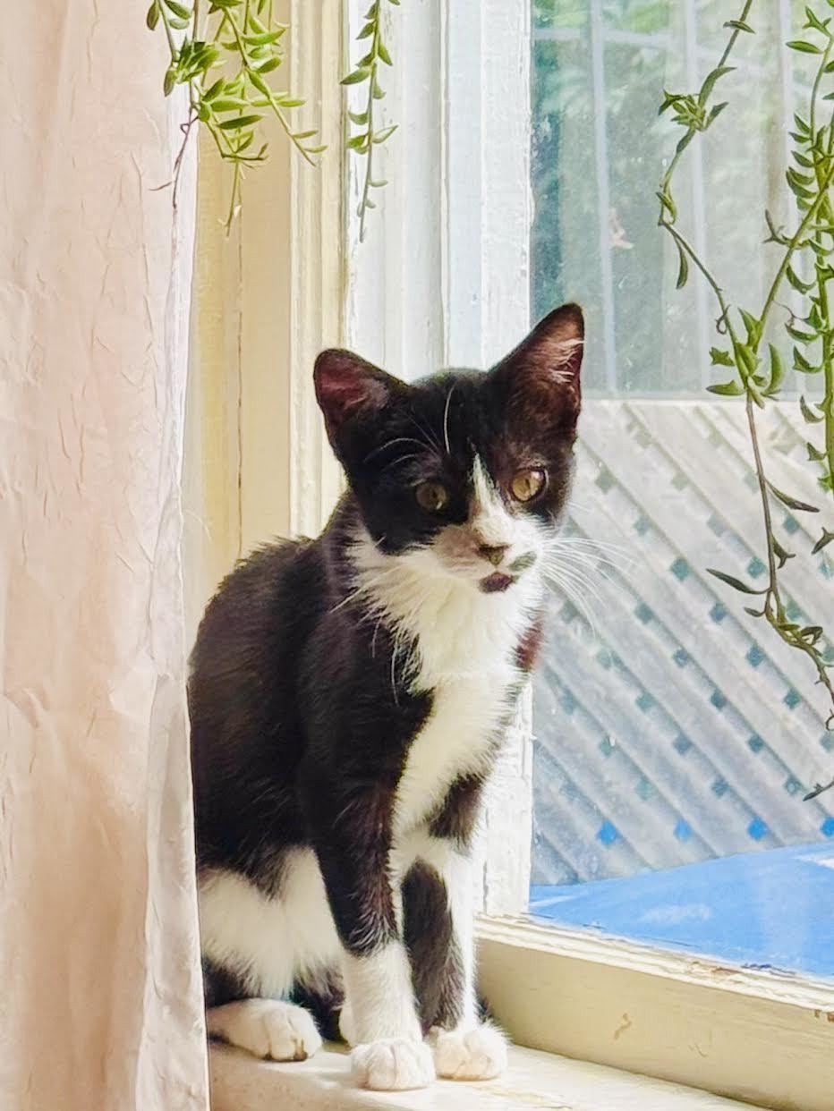 Delilah