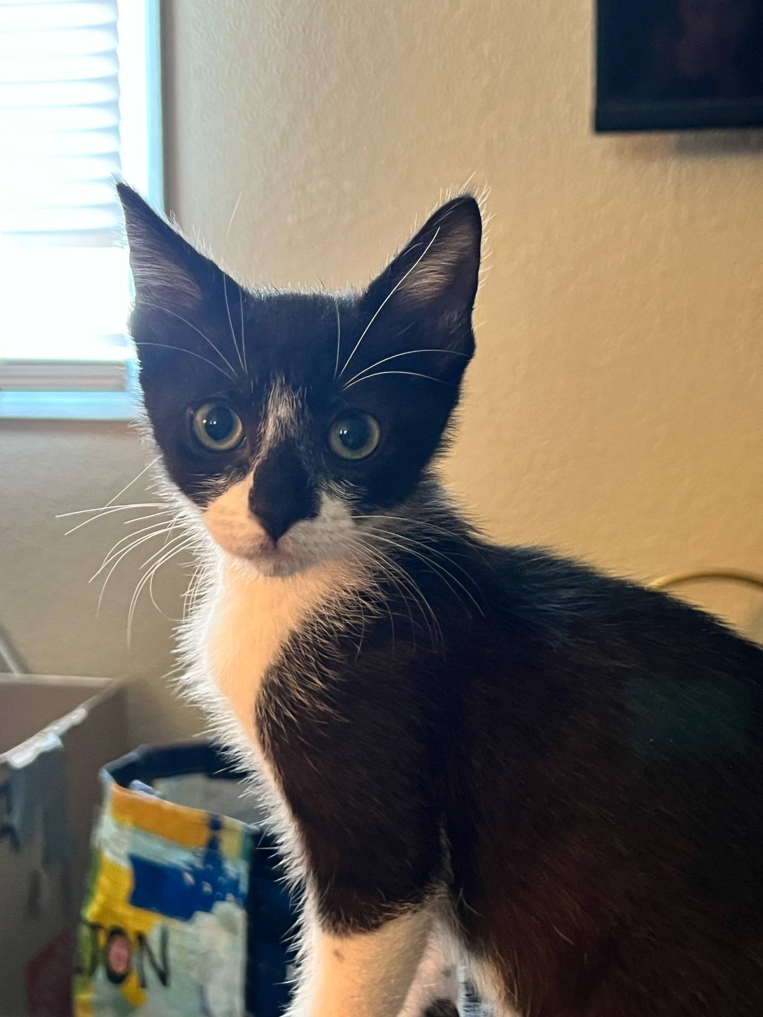 Tucker