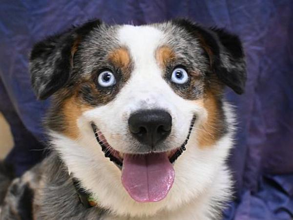 Sam