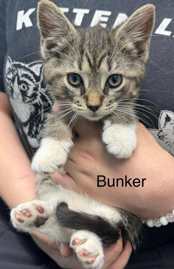 Bunker