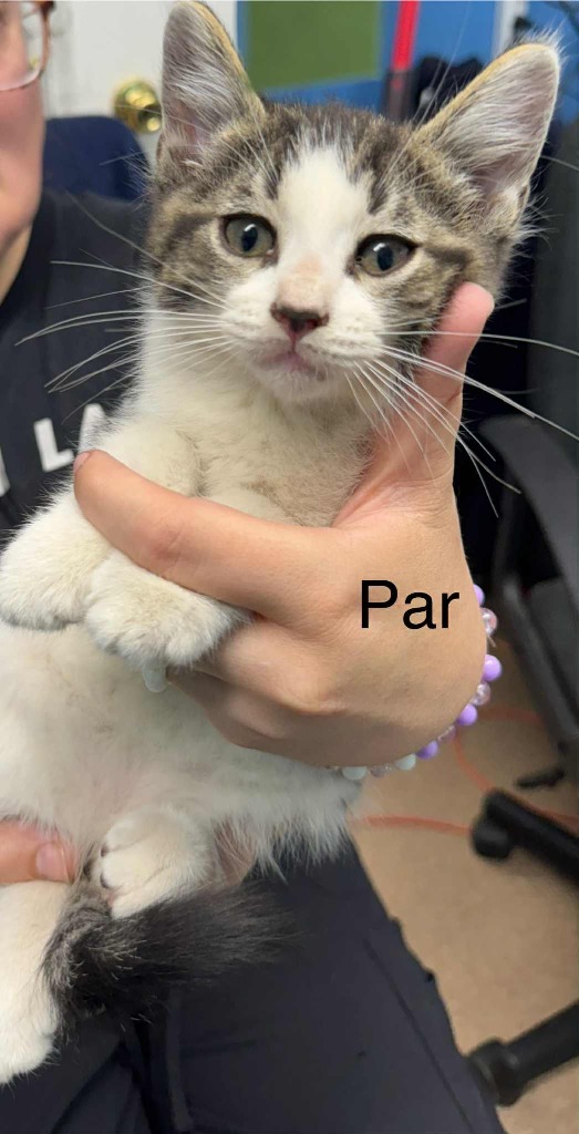 Par