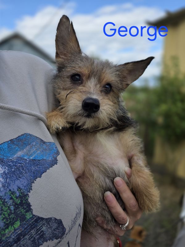 George