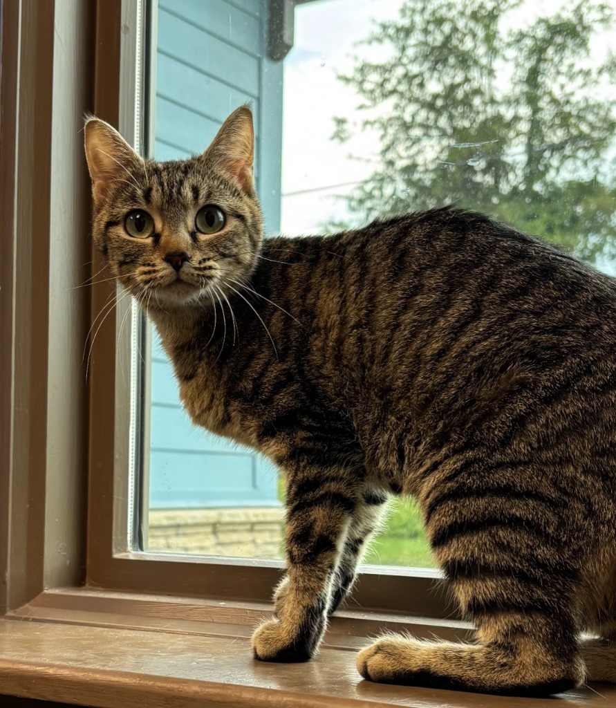 Jinx