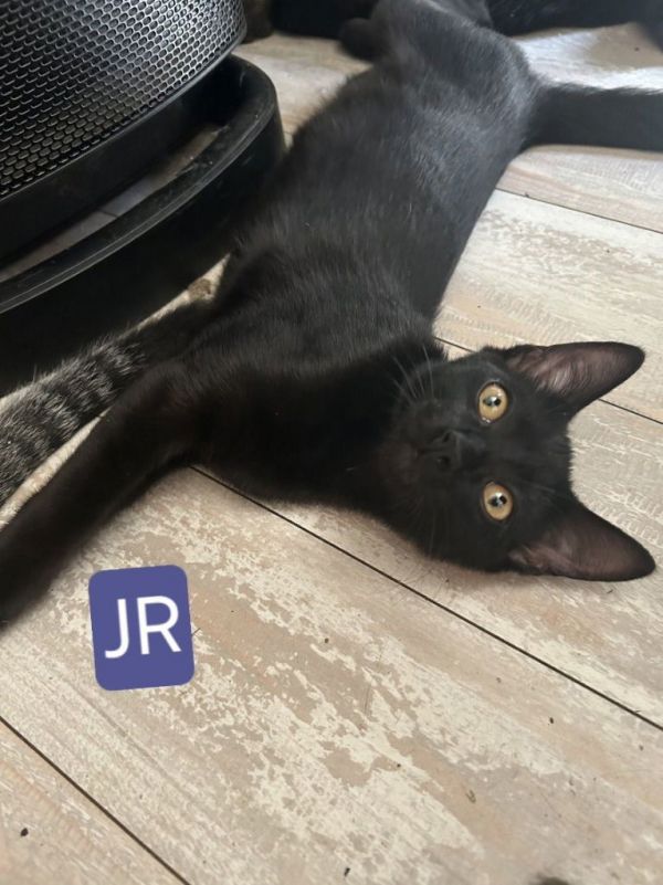 25-22 J.R.