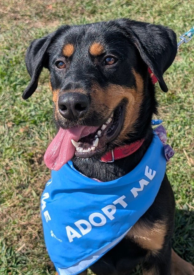 Cooper