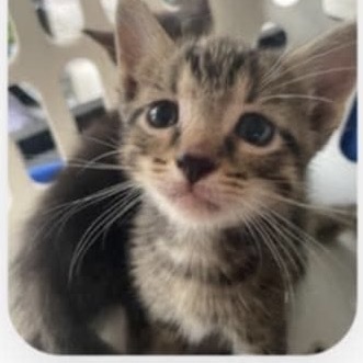Minnie