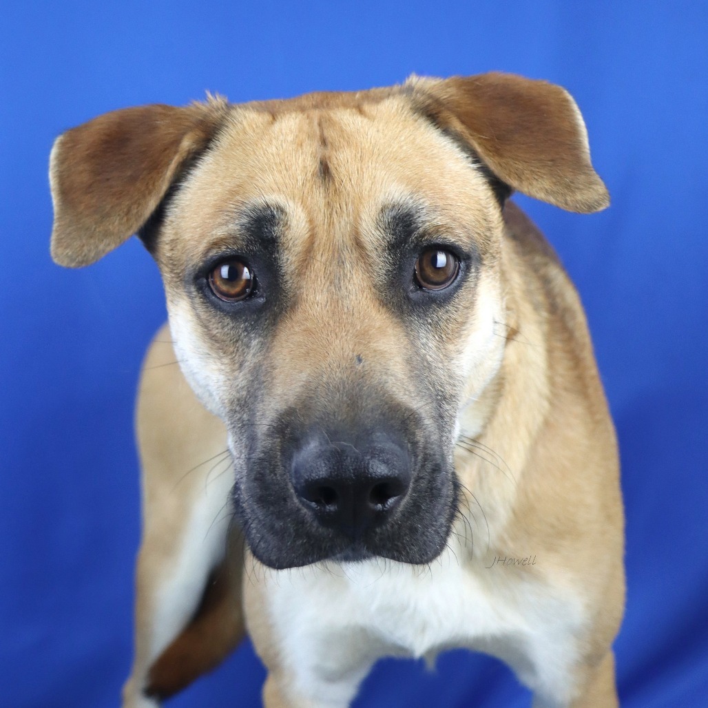 Bruce- 022118T