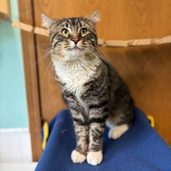 Freddy--In Foster