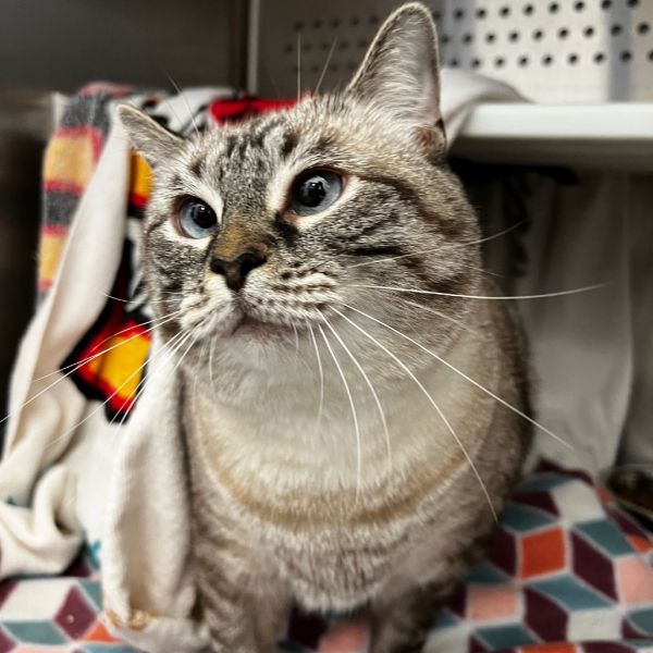 Penny Lane