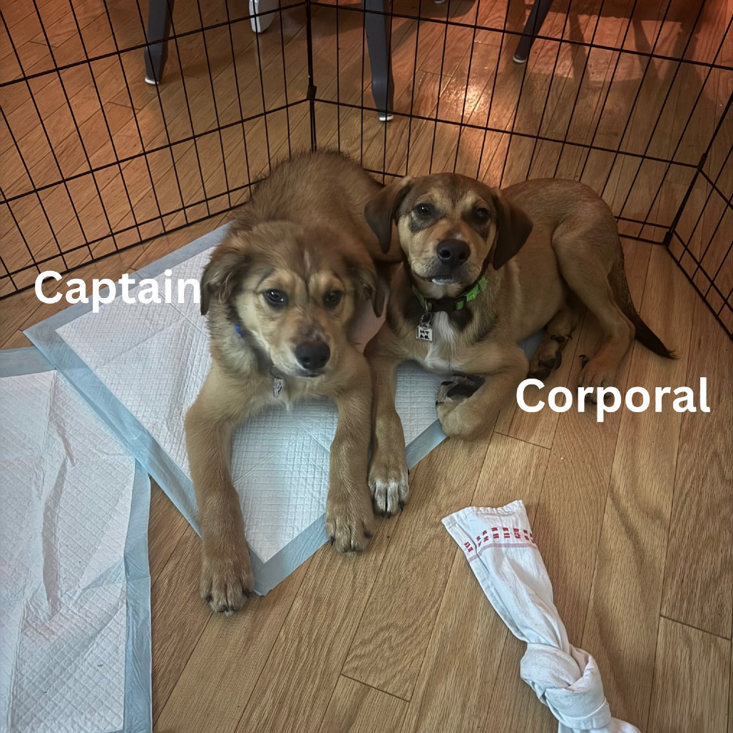 Corporal