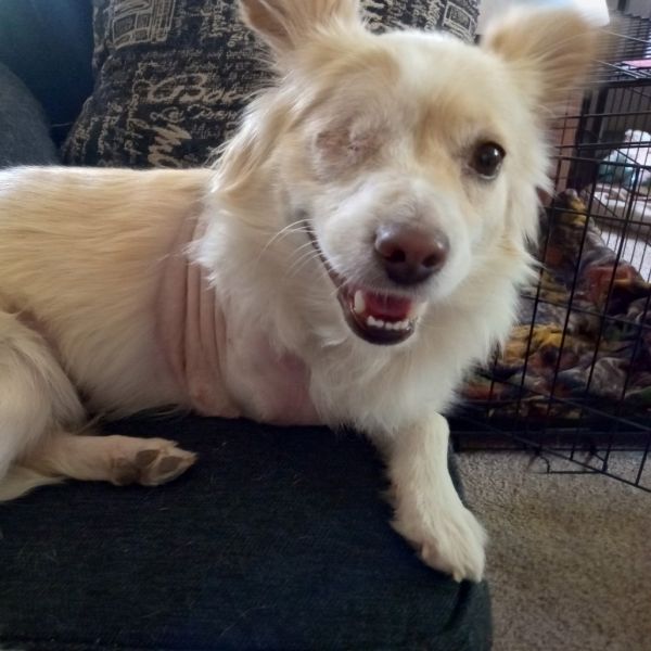 Bernie