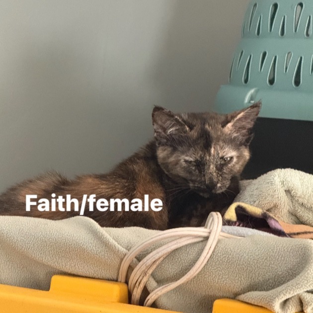 Faith