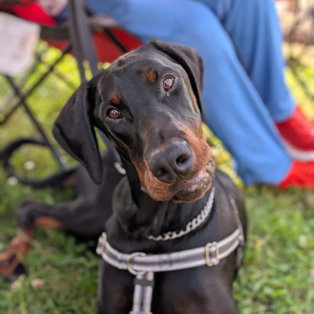 Monty