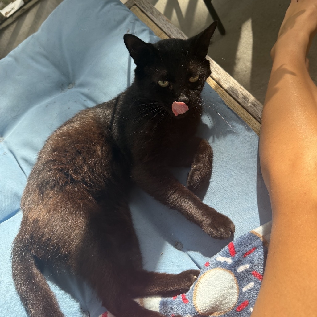 Toothless