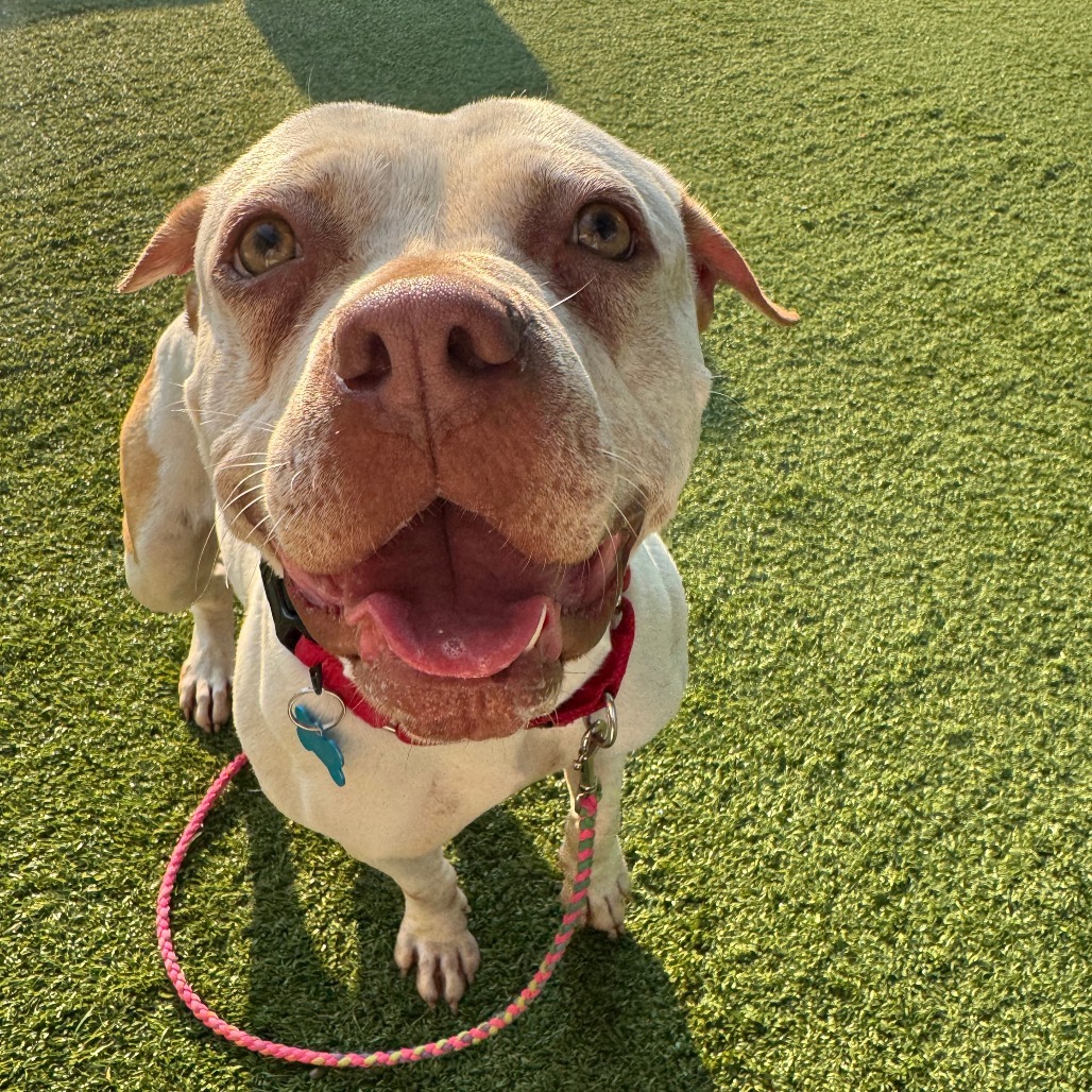 Delilah