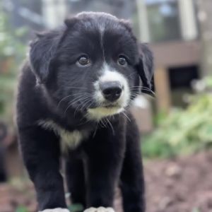 Winnie